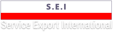 SEI export logo